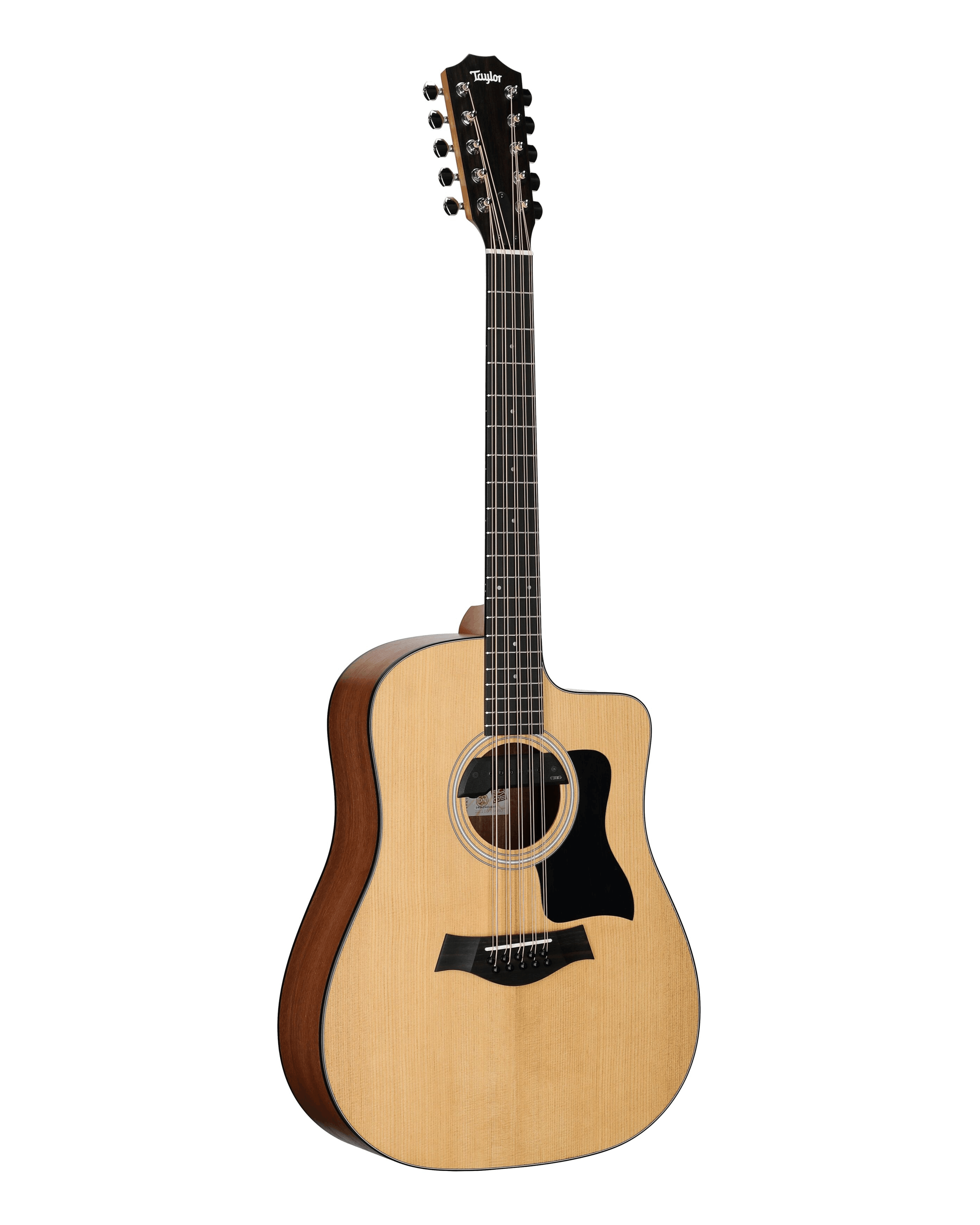 Bajo Quinto Taylor Somos 150CE