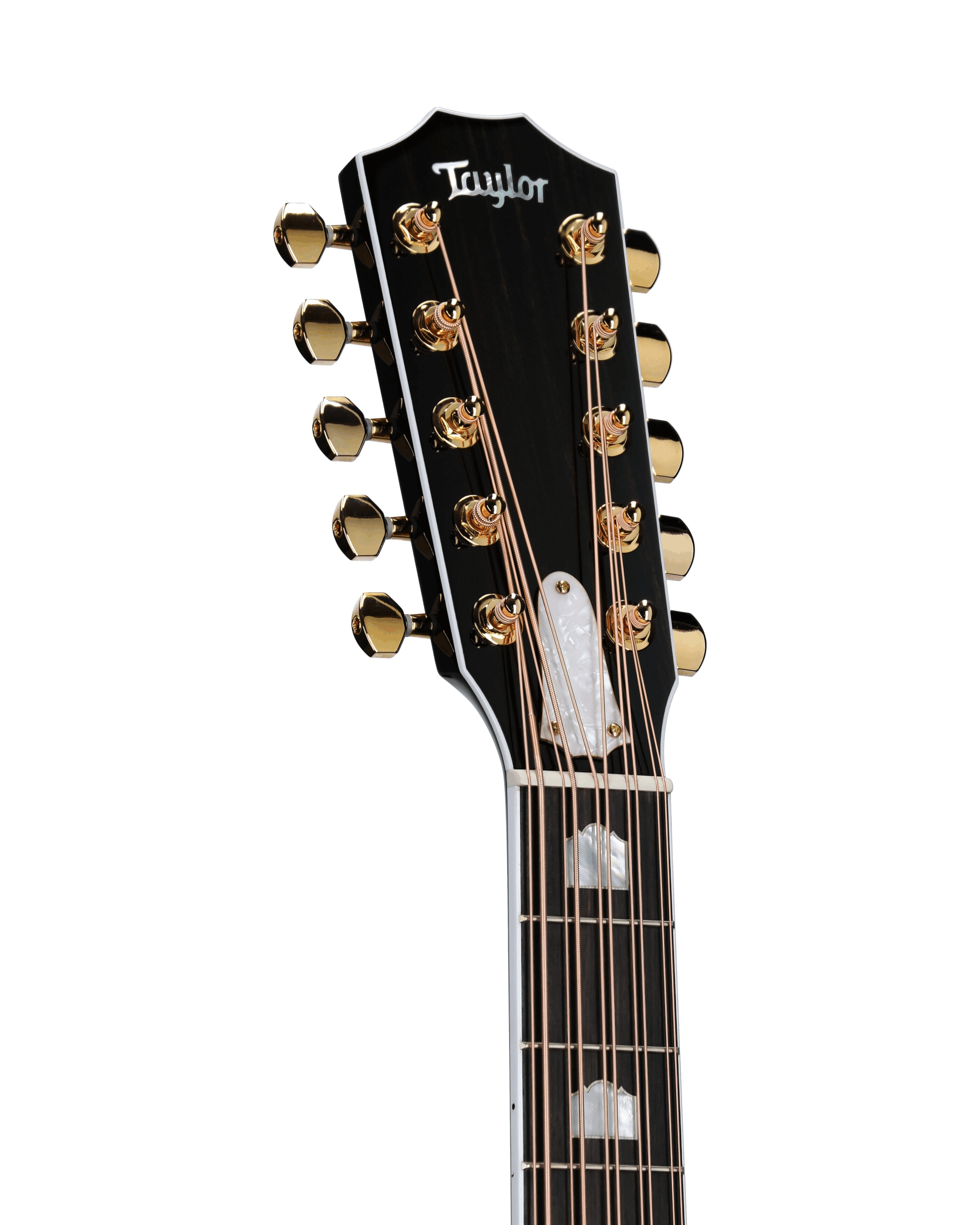 Bajo Quinto Taylor Somos 657CE - Image 3